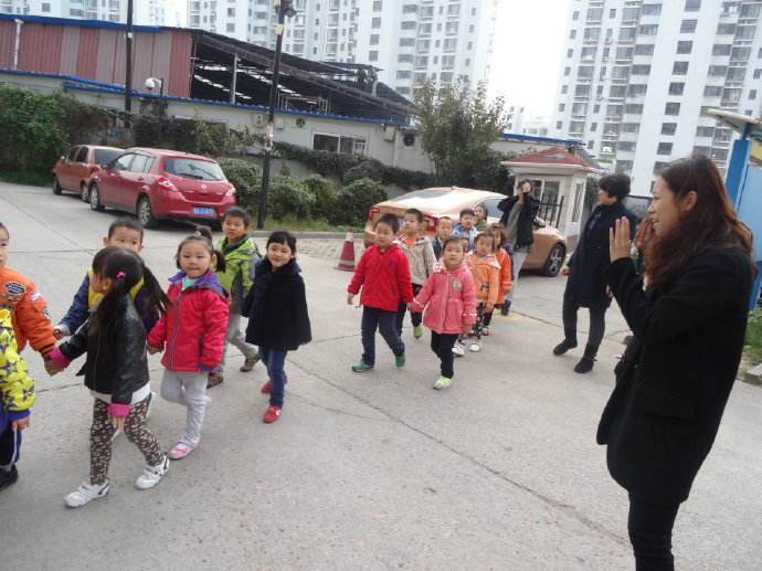 小班科学小树叶找妈妈教案2