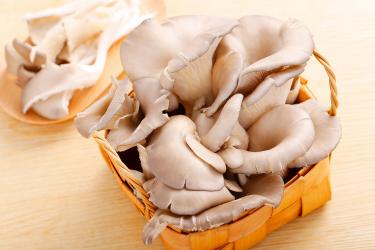 蘑菇有哪些食用功效 哺乳期吃这些蘑菇最好1