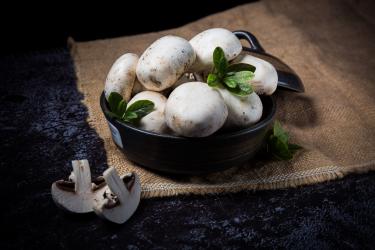 蘑菇有哪些食用功效 哺乳期吃这些蘑菇最好5