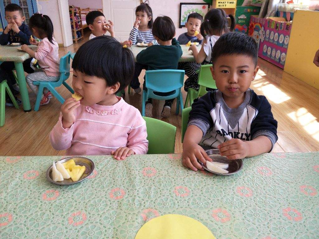 中班科学酸酸甜甜的草莓教案1