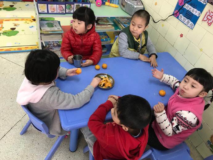 中班科学酸酸甜甜的草莓教案2