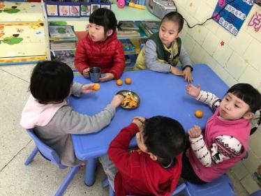 中班科学酸酸甜甜的草莓教案2