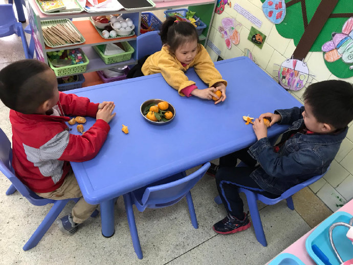 中班科学酸酸甜甜的草莓教案3