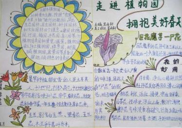 植物手抄报图片大全1