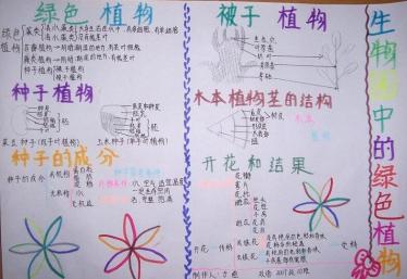 植物手抄报图片大全3