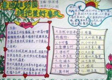 植物手抄报内容简单3