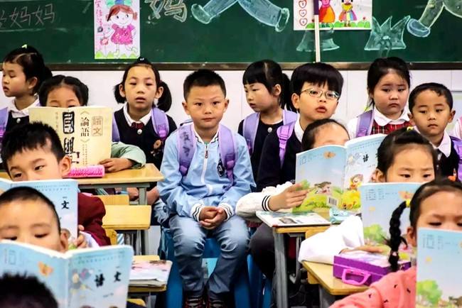 幼儿园小班科学小帮手教案2