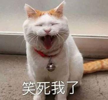 笑死我了法院见什么梗