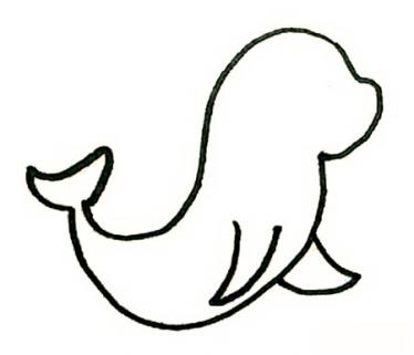 海豹简笔画彩色步骤3