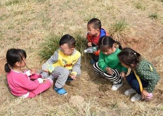 大班花宝宝笑了教案1