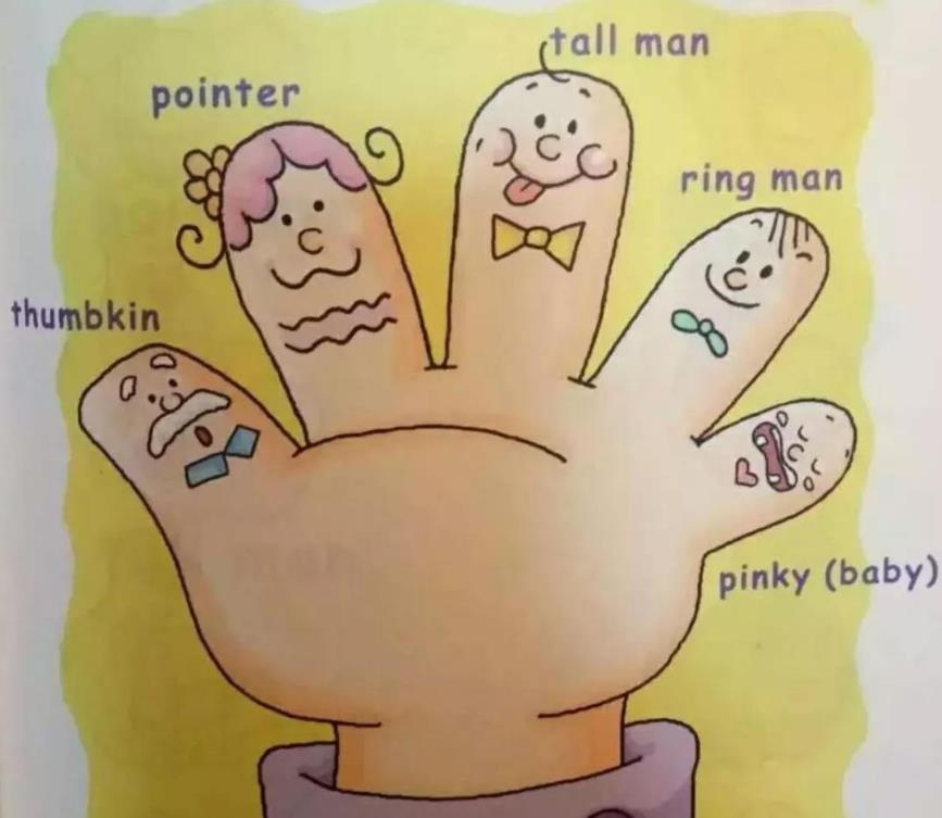  Where Is a Thumb