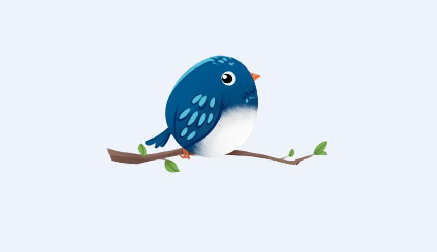 Bluebird,Bluebird