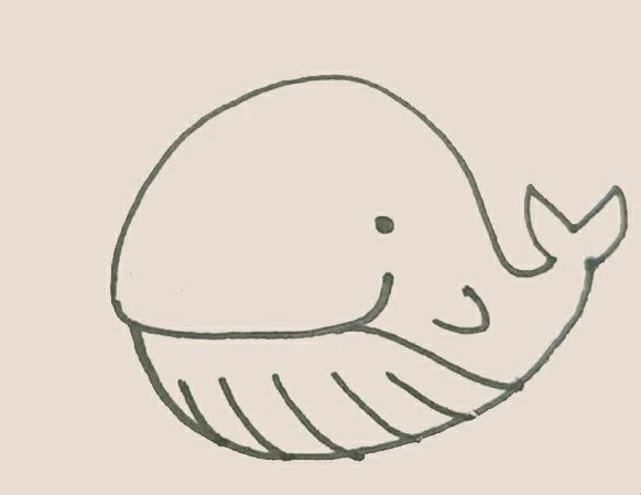 可爱彩色鲸鱼简笔画的画法3