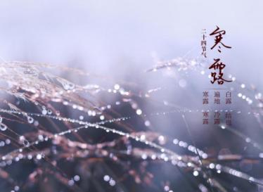 2019年寒露是几月几日几时几分
