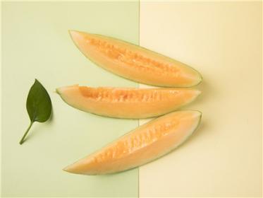 减肥的人能吃哈密瓜吗
