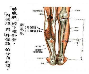 承山的准确位置图