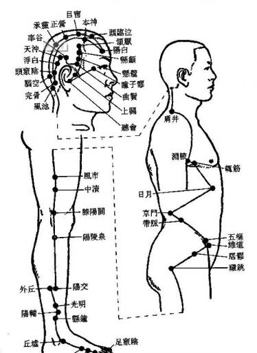 胆经的准确位置图