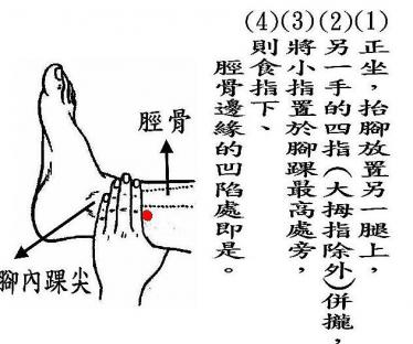 三阴交的准确位置图