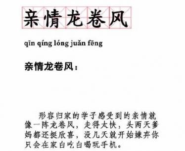亲情龙卷风是什么意思