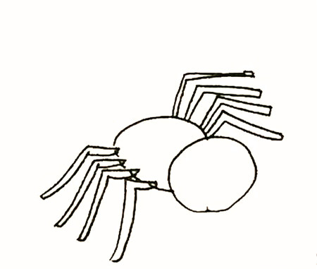 卡通可爱蜘蛛简笔画的画法2