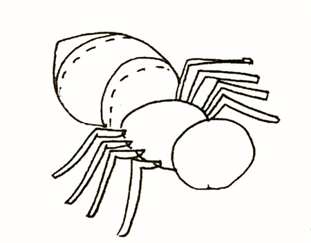 卡通可爱蜘蛛简笔画的画法3