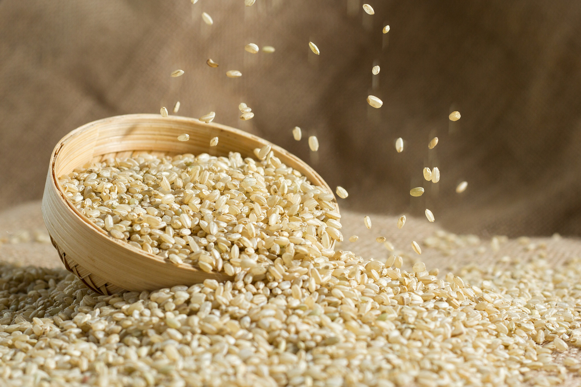 糙米减肥食谱3
