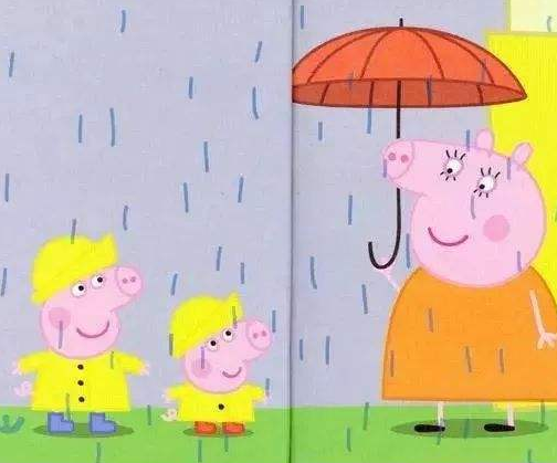 雨宝宝