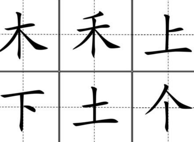 田字格里种生字