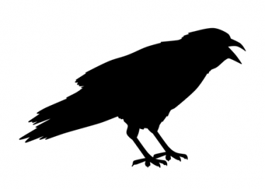 小学儿童短篇故事文字版：金乌鸦