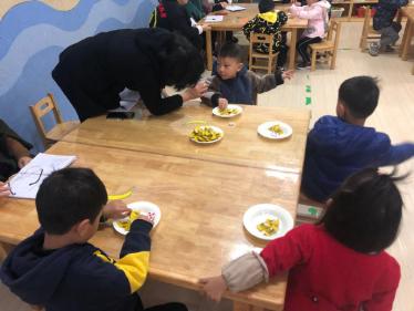 小班数学帮帮小猪教案3