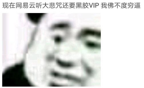 我佛只渡vip是什么意思啊