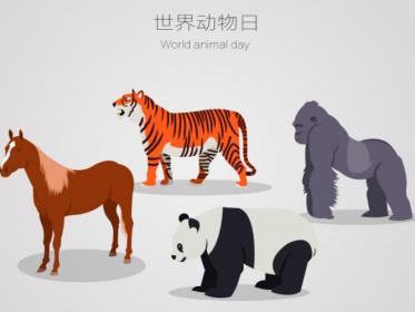 世界动物日宣传标语