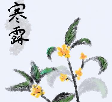  寒露开始冷了吗