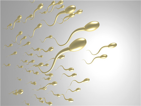 精囊炎会影响精子质量吗