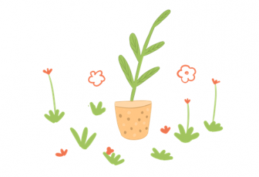 孕期爸爸胎教故事大全：大臭草进阳台