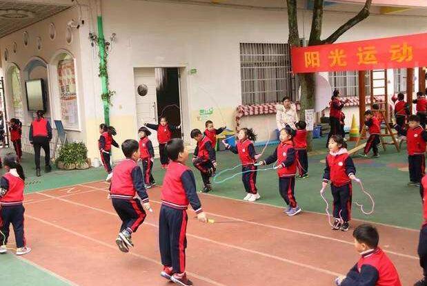 乐器大家玩大班教案2
