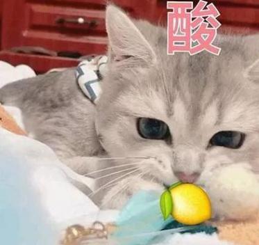 手里的鸡腿突然就不香了什么意思