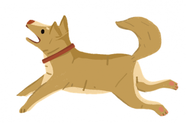 小学儿童短篇故事文字版:狗和狼的故事 小学儿童短篇故事文字版:狗和狼的故事