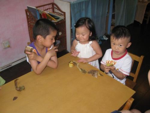 幼儿园绘本小种子教案1