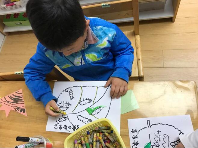 幼儿园中班科学可爱的蚕宝宝教案1