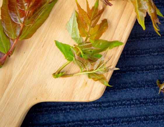 宫寒可以吃香椿吗