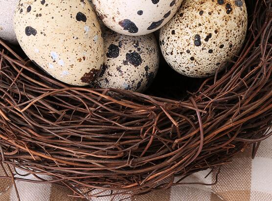 宫寒可以吃鹌鹑蛋吗