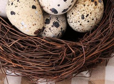 宫寒可以吃鹌鹑蛋吗