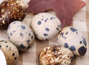 宫寒可以吃鹌鹑蛋吗