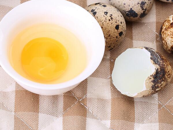 宫寒可以吃鹌鹑蛋吗