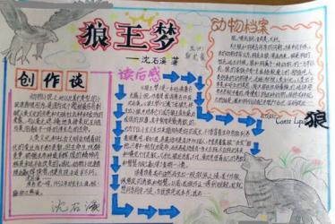 狼王梦手抄报简单好看3