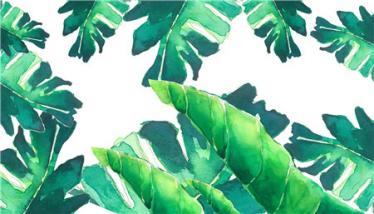 童话故事有哪些：怀素芭蕉练字
