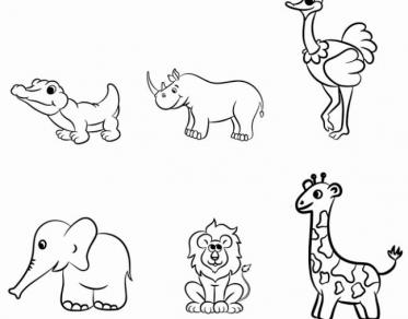 如何教小孩子画动物简笔画 亲亲宝贝网