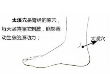 精子畸形按摩哪里好