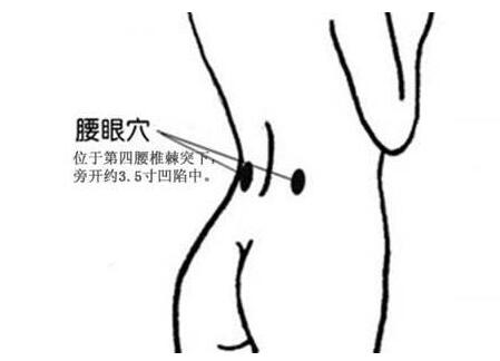精子畸形按摩哪里好
